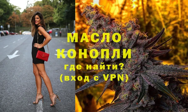 индика Бородино