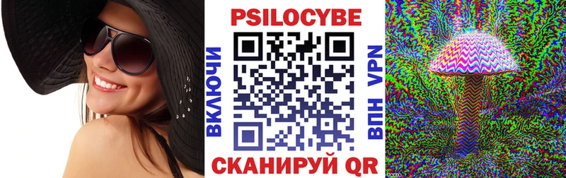 это клад  Петровск-Забайкальский  Псилоцибиновые грибы Cubensis  MEGA зеркало 